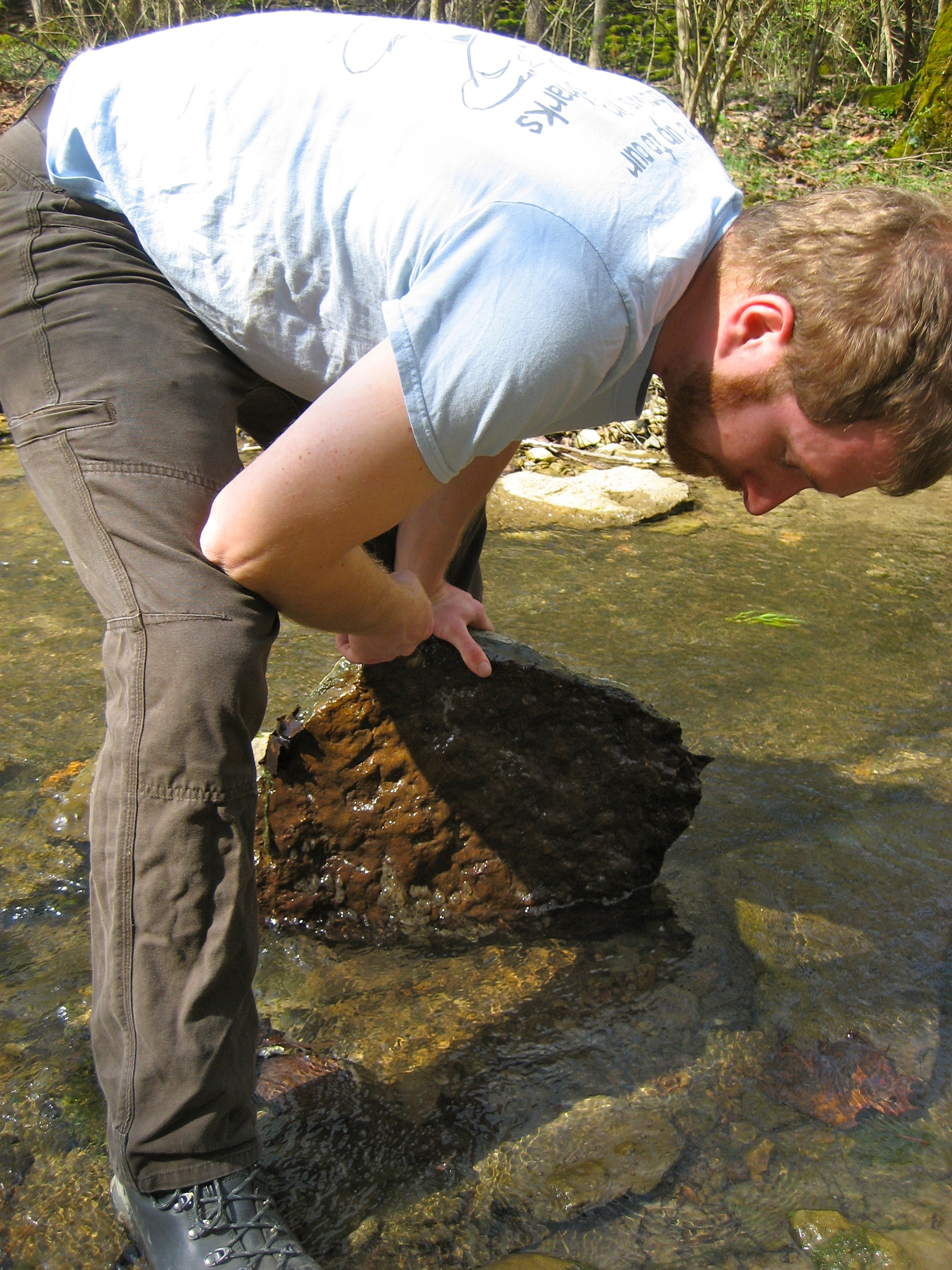 Biology doctoral candidate Paul Hime will use his NSF Graduate Research Fellowship to support his research investigating why certain groups of organisms have many more species than other groups. Specifically, he aims to understand the ways in which genome evolution has constrained and promoted biodiversity in amphibians, with a special emphasis in salamanders. 